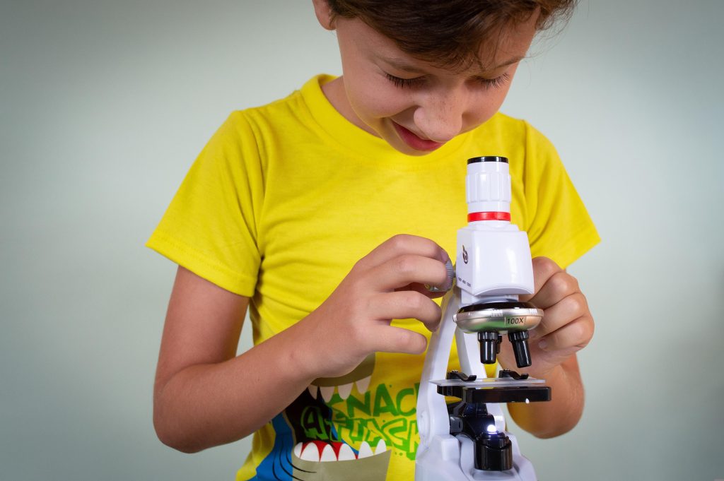 Scientific Method Experiments For Kids