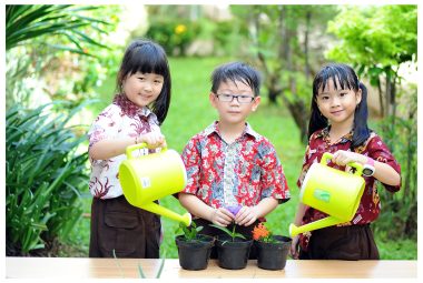 Gardening STEM Activity