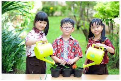 Gardening STEM Activity