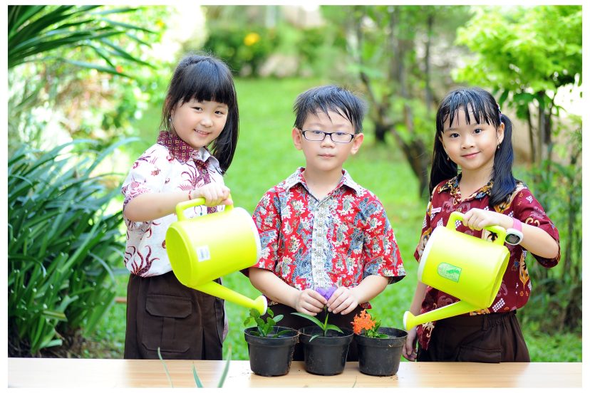 Gardening STEM Activity