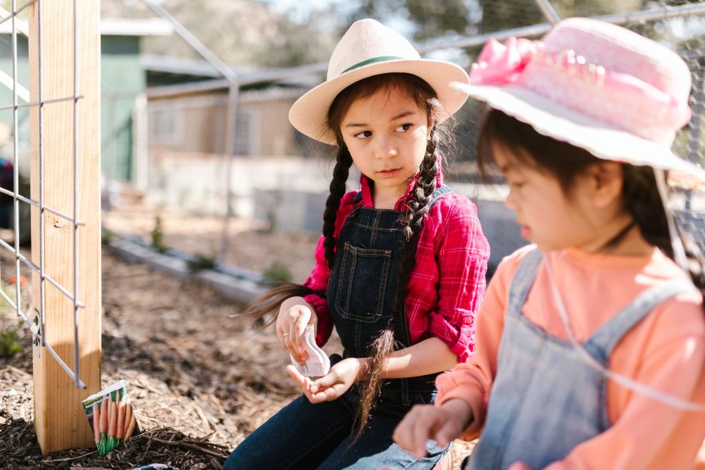 Gardening STEM Activity