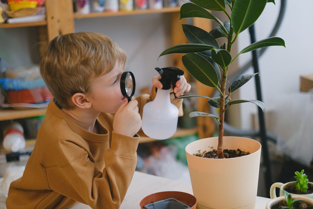 Gardening STEM Activity